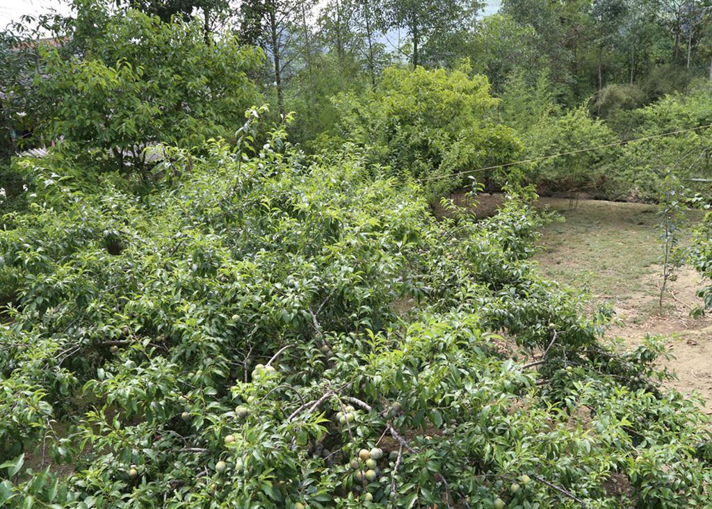 Appartamento Sa House Bac Ha Esterno foto