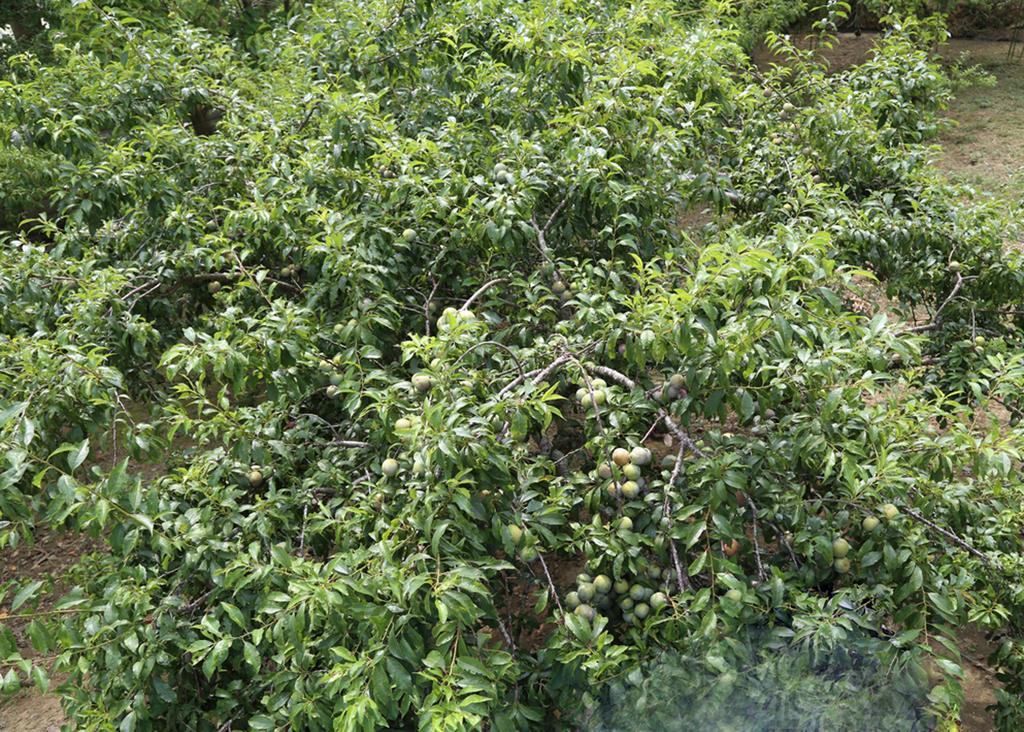 Appartamento Sa House Bac Ha Esterno foto