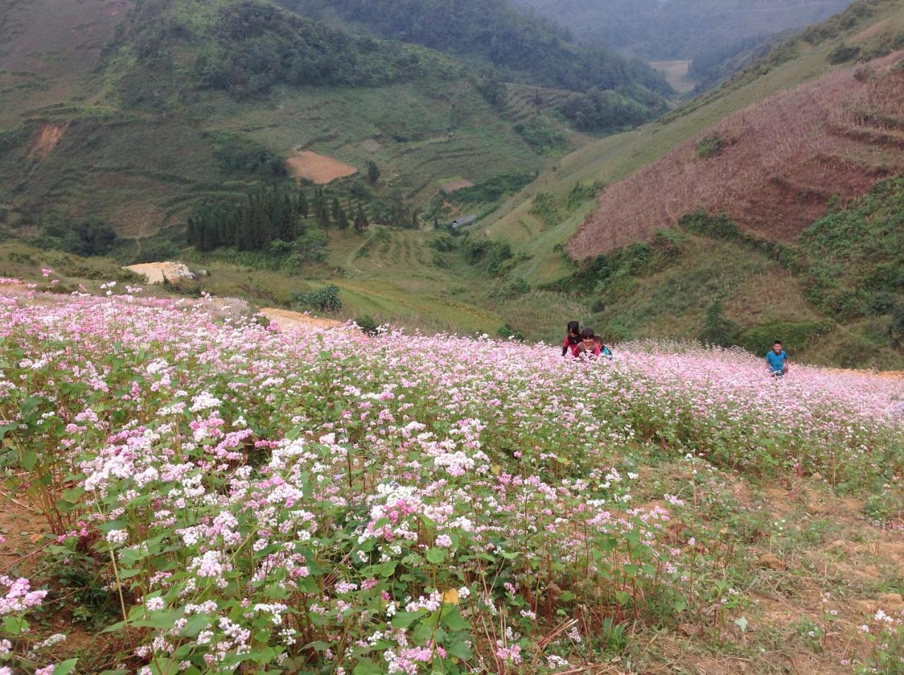Appartamento Sa House Bac Ha Esterno foto