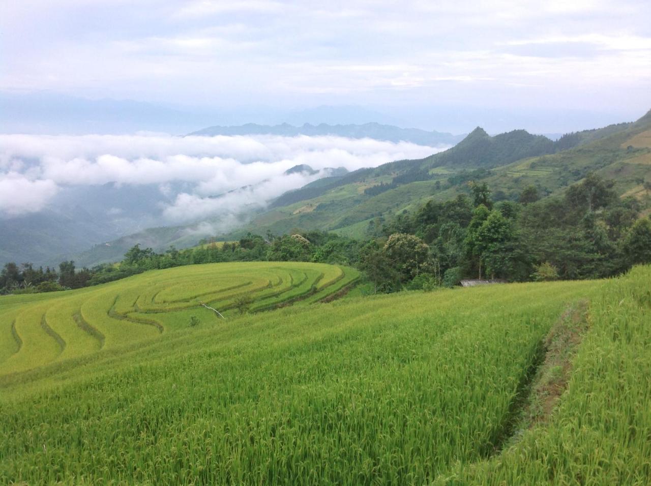 Appartamento Sa House Bac Ha Esterno foto