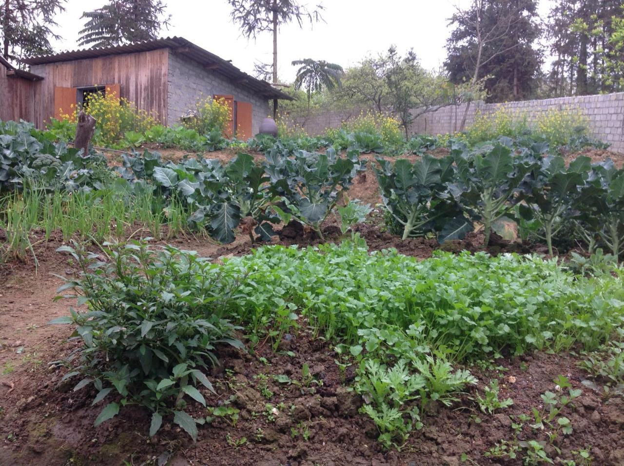 Appartamento Sa House Bac Ha Esterno foto