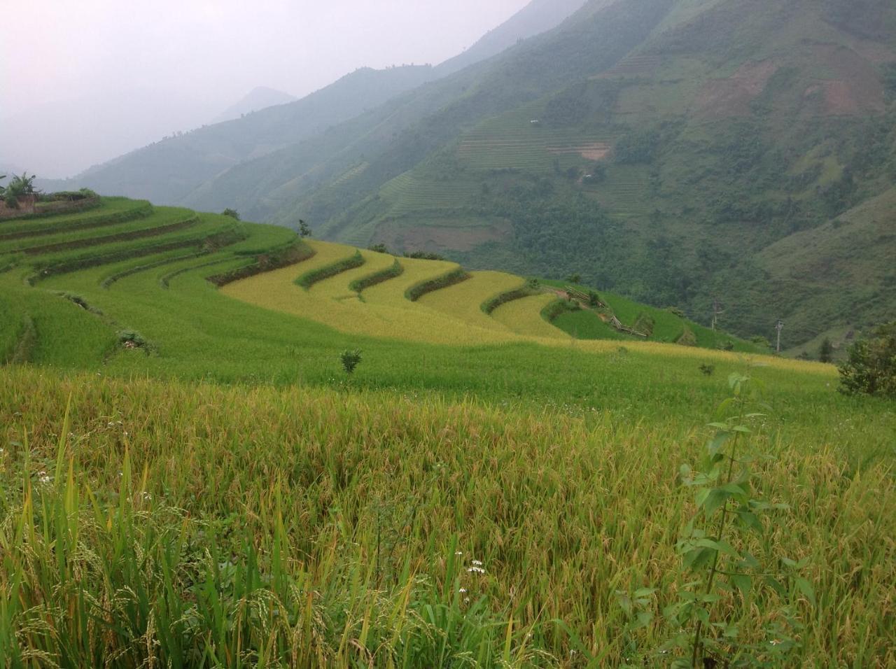 Appartamento Sa House Bac Ha Esterno foto