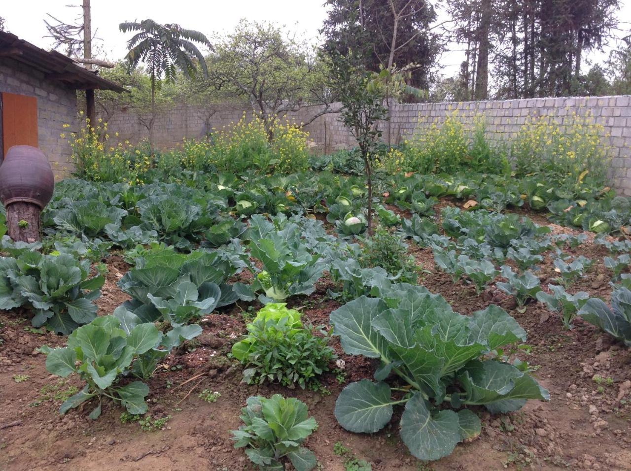 Appartamento Sa House Bac Ha Esterno foto
